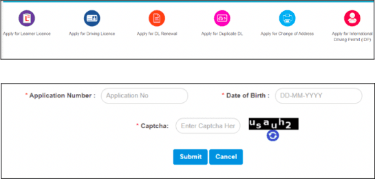 Driving Licence Status Check Step 3