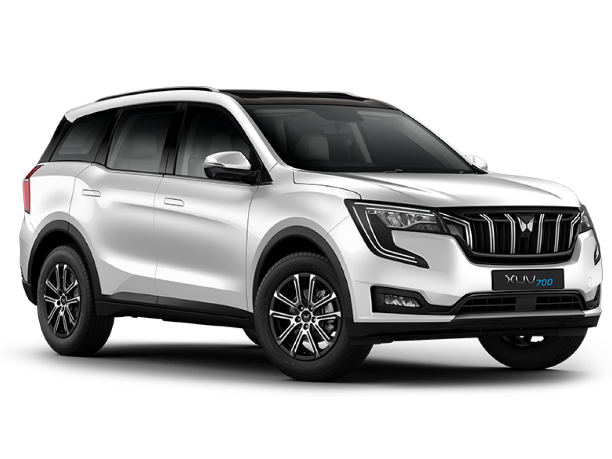 Everest White DT.