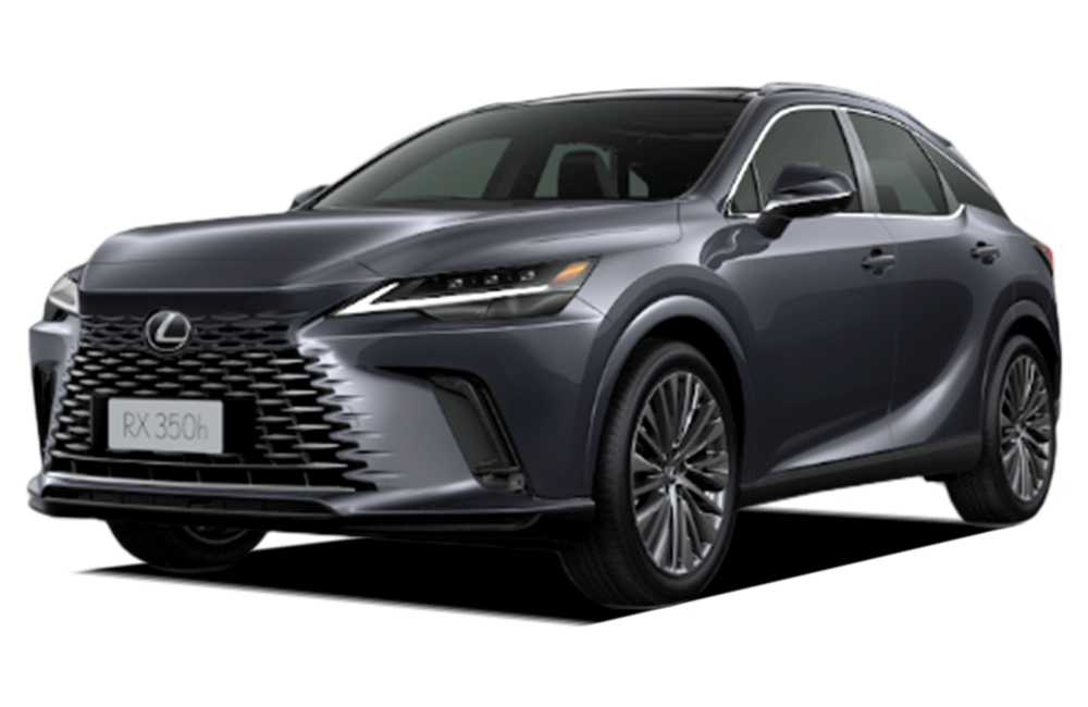 Lexus RX Left Diagonal View