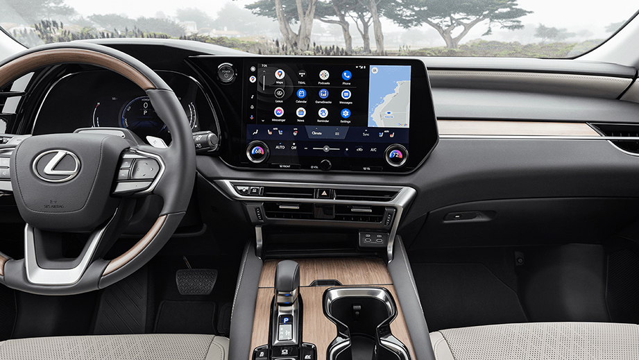 RX Dashboard View