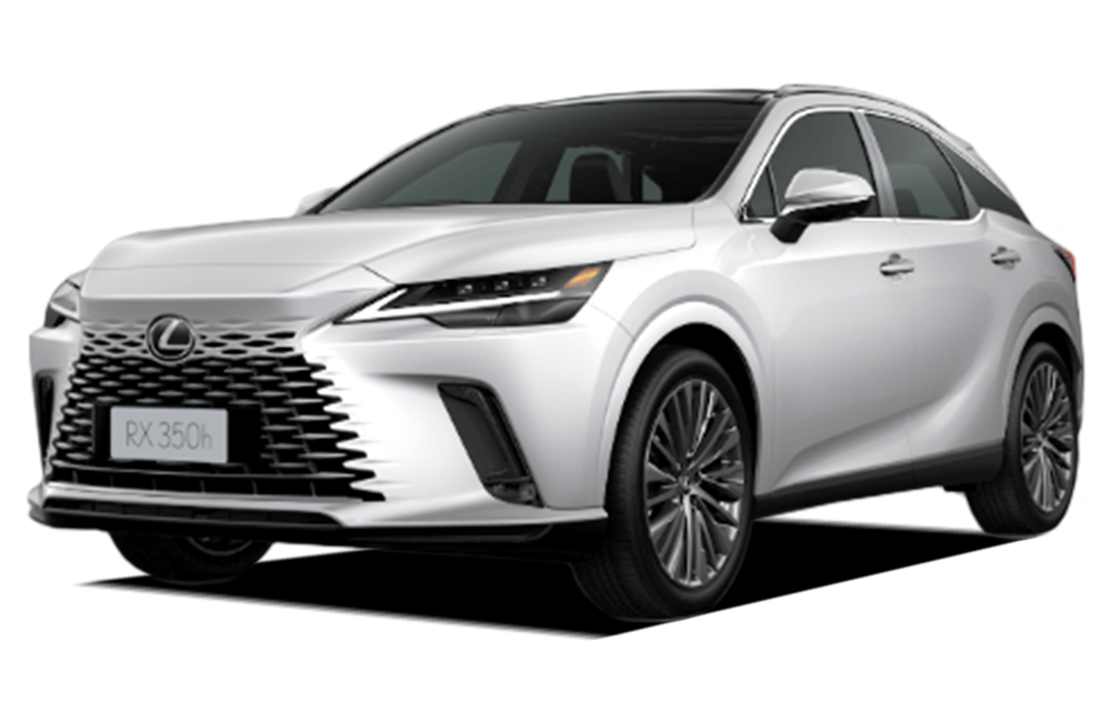 RX Sonic Quartz
