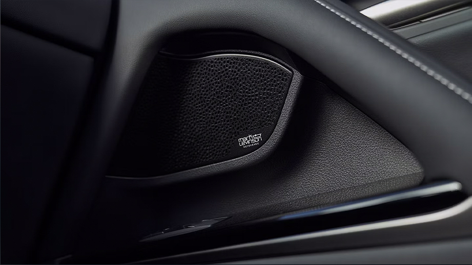 Lexus LX Interior Speaker