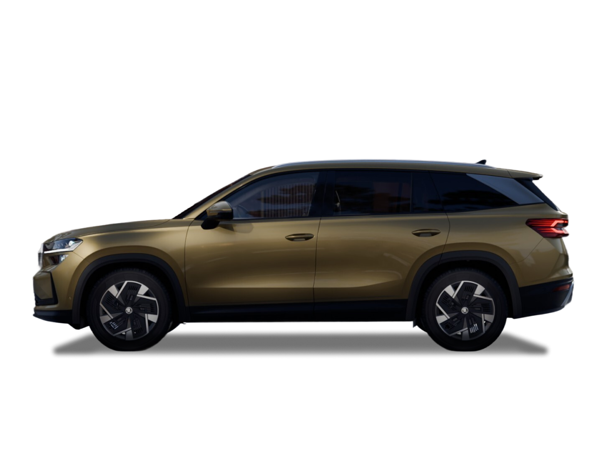 Kodiaq_Bronx_Gold